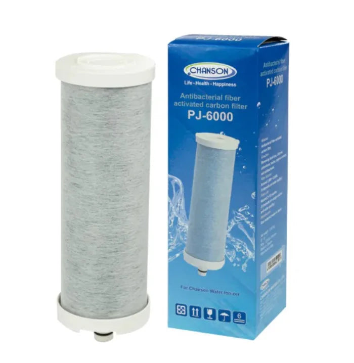 PJ-6000 – Filtre interne pour ioniseurs Chanson (vieux modèles)